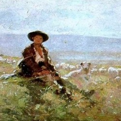 Young shepherd with sheep in the back